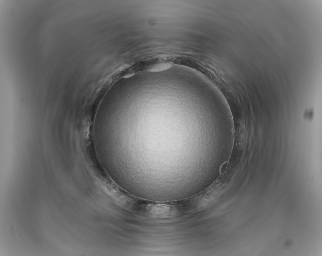 X0000093470230200710261050