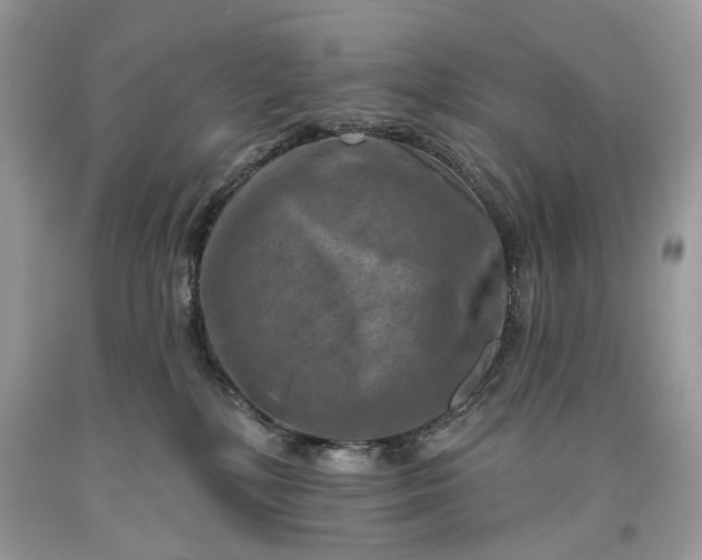 X0000093470232200710261050