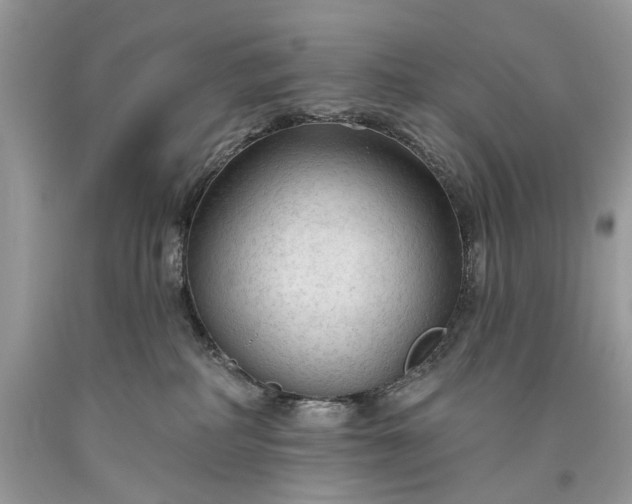 X0000093470234200710261050