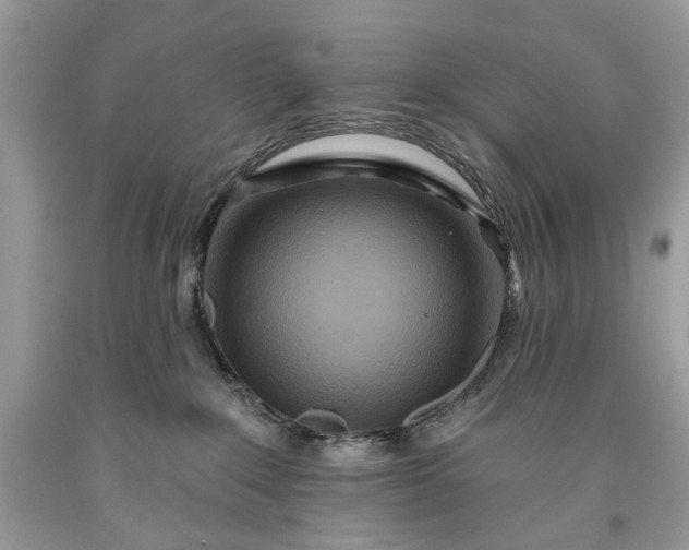 X0000093470235200710261050