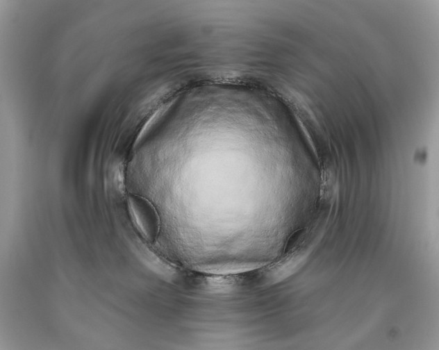 X0000093470238200710261050