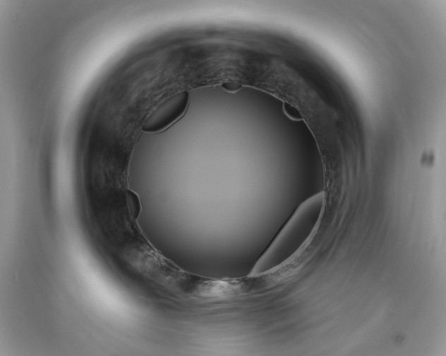 X0000093470239200710261050