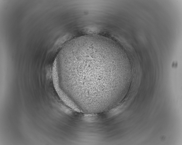 X0000093470240200710261050