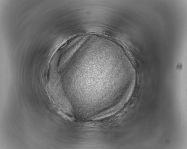 X0000093470241200710261049