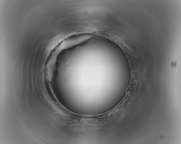 X0000093470242200710261049