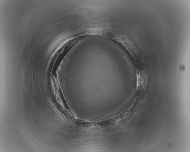 X0000093470243200710261049