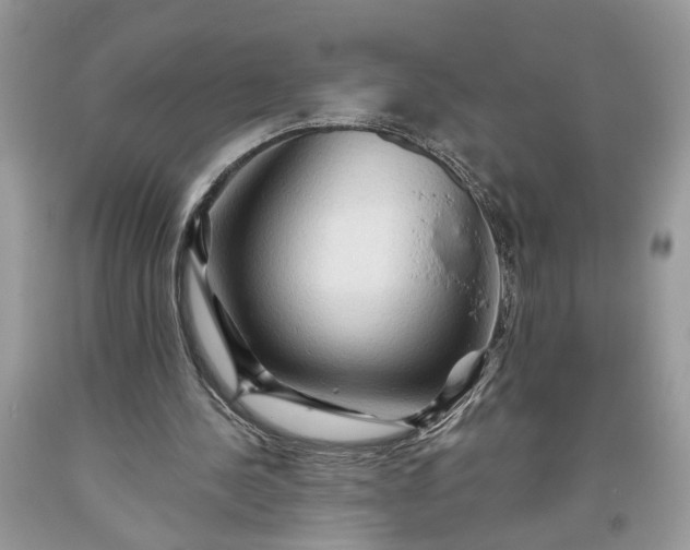 X0000093470244200710261049