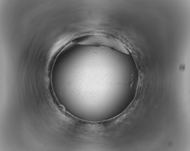 X0000093470245200710261049