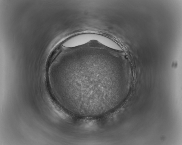 X0000093470247200710261049