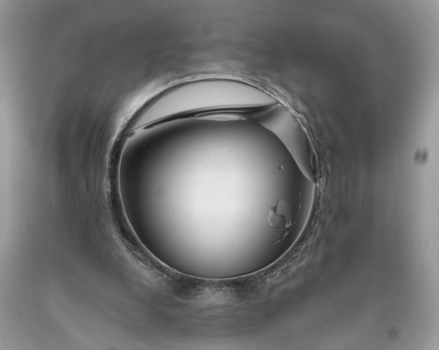 X0000093470248200710261049