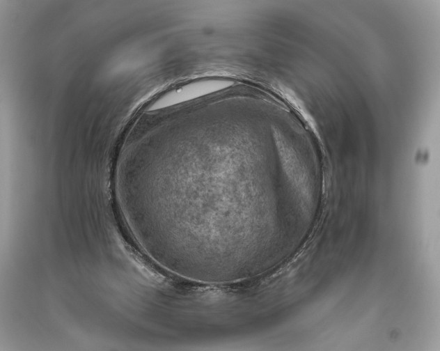 X0000093470249200710261049