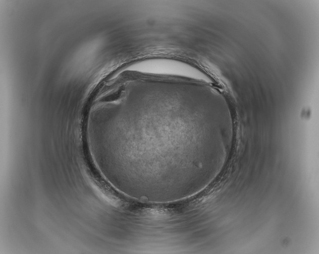 X0000093470250200710261049