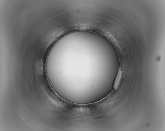 X0000093470251200710261049