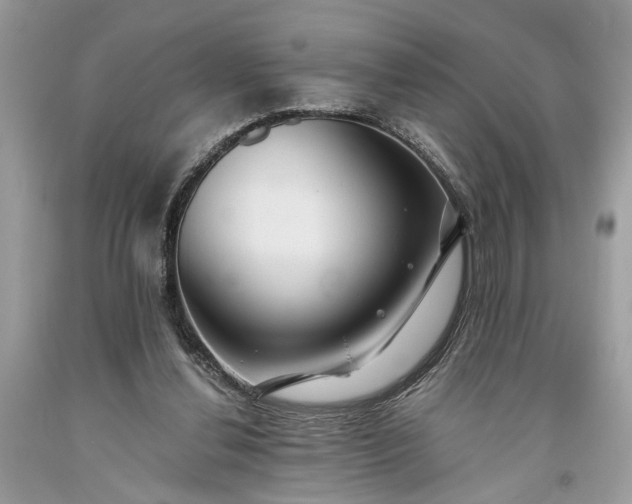 X0000093470252200710261049