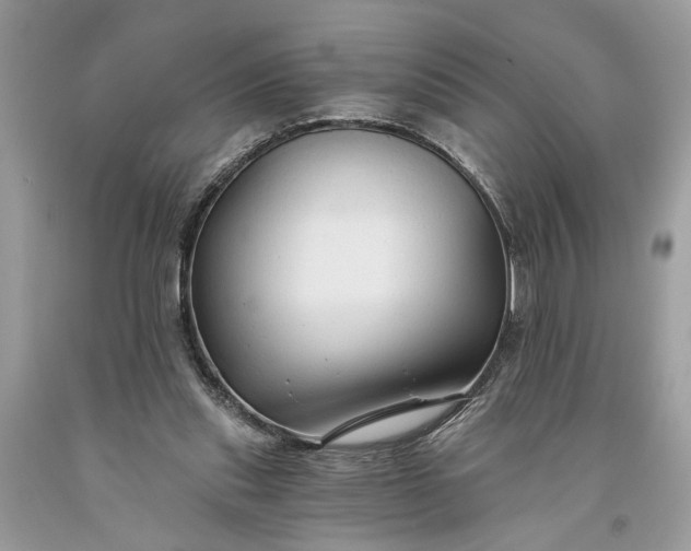 X0000093470253200710261049