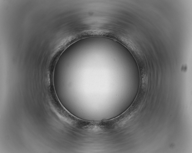 X0000093470254200710261049