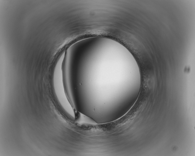 X0000093470256200710261049