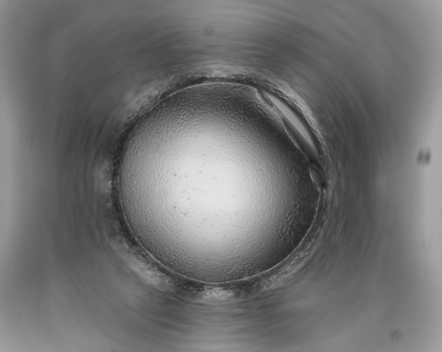 X0000093470257200710261049