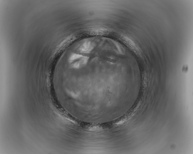 X0000093470258200710261049