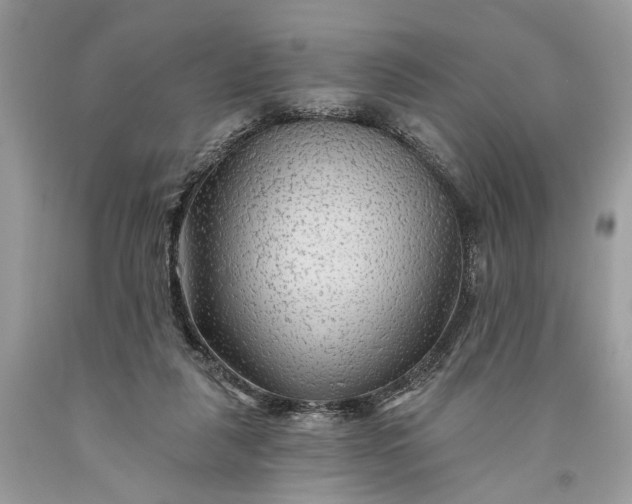 X0000093470259200710261049