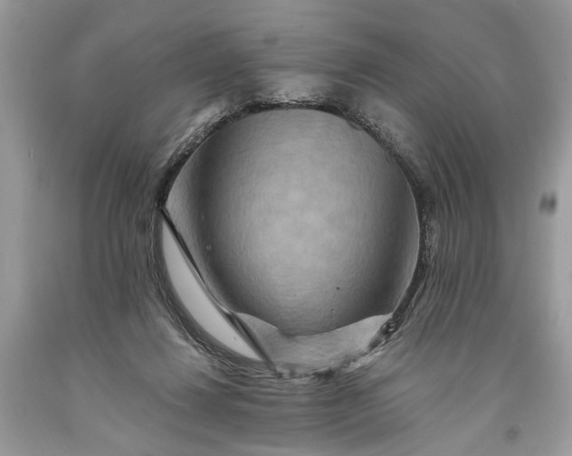 X0000093470260200710261049