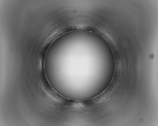 X0000093470262200710261049