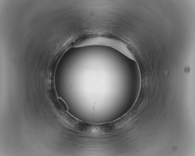 X0000093470264200710261049