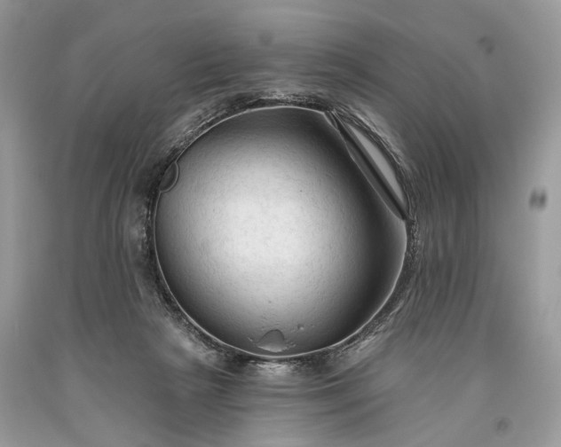 X0000093470265200710261049