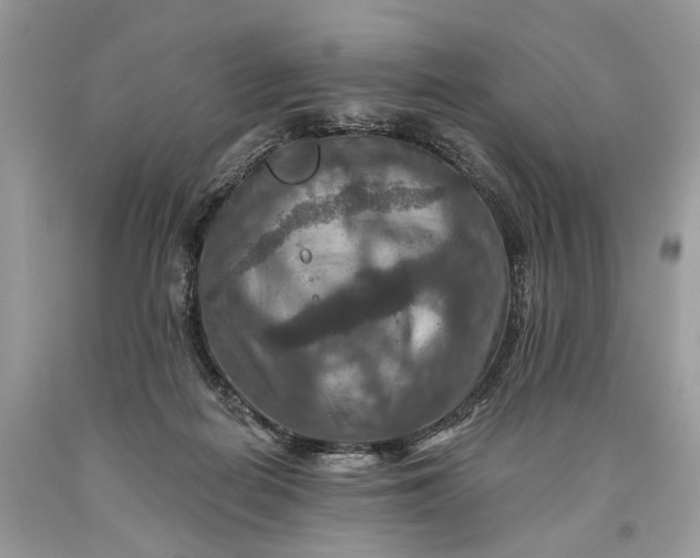 X0000093470266200710261049