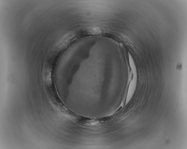 X0000093470267200710261049