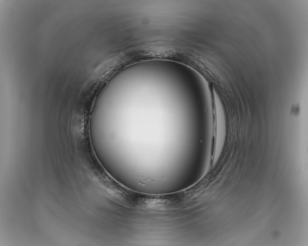 X0000093470268200710261050