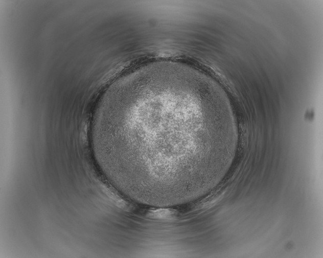 X0000093470269200710261050