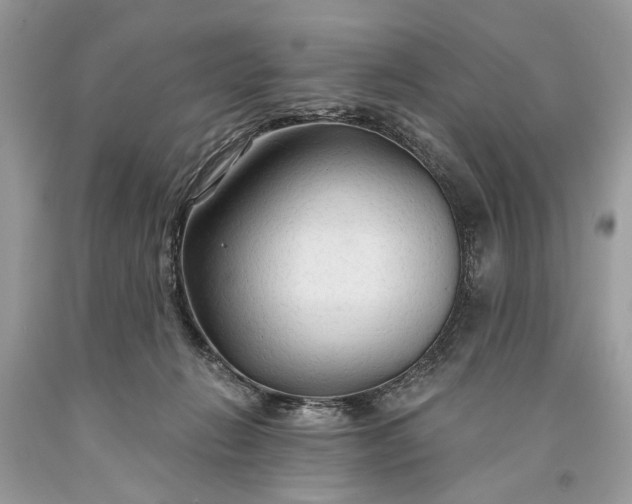 X0000093470270200710261050