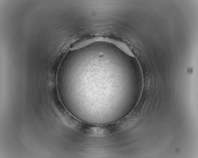 X0000093470272200710261050