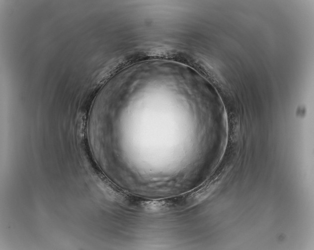 X0000093470273200710261050