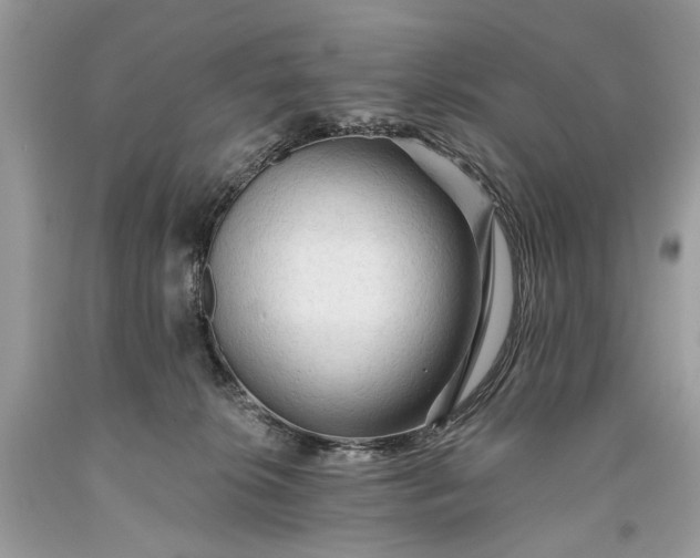 X0000093470276200710261050