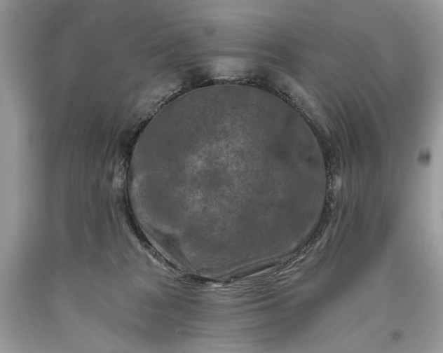 X0000093470277200710261050