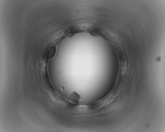 X0000093470279200710261050