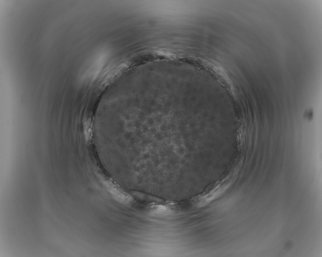 X0000093470285200710261050