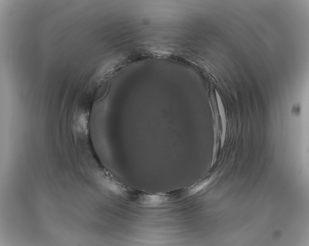 X0000093470286200710261050