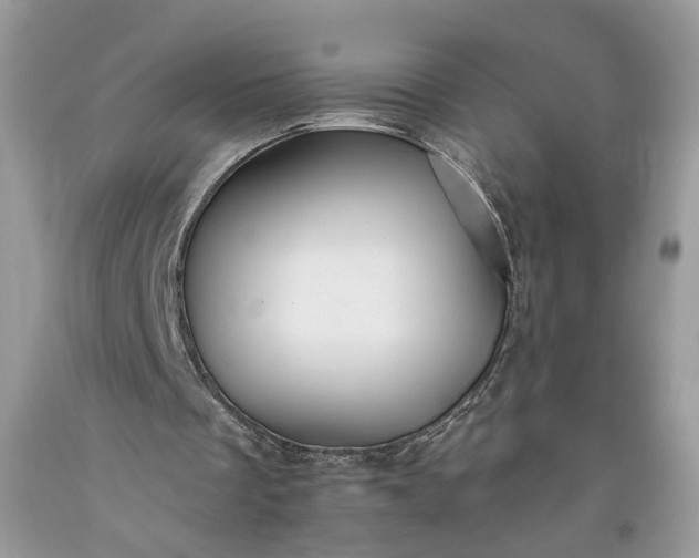 X0000093470289200710261049