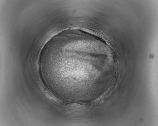 X0000093470290200710261049