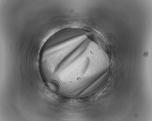 X0000093470292200710261049