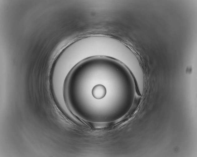 X0000093470293200710261049