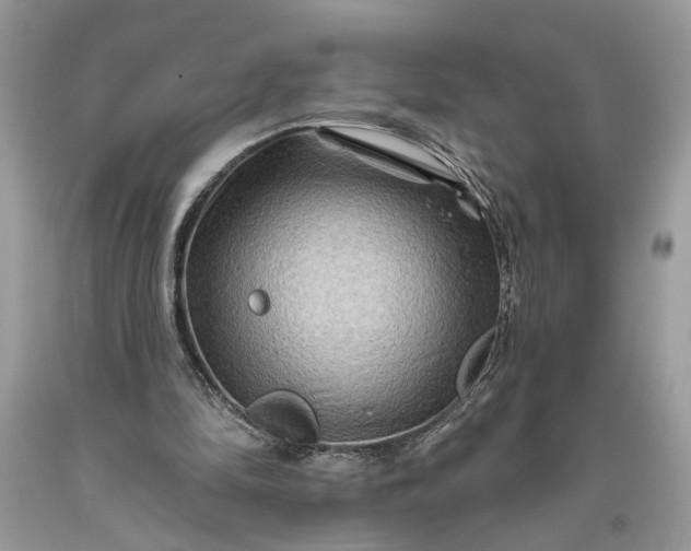 X0000093470294200710261049