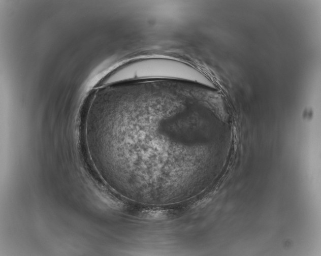 X0000093470295200710261049