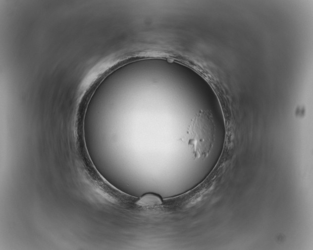 X0000093470296200710261049