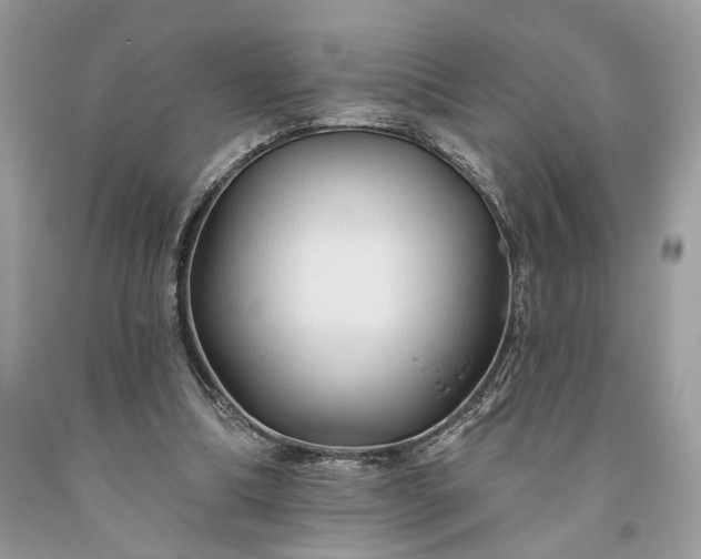 X0000093470298200710261049