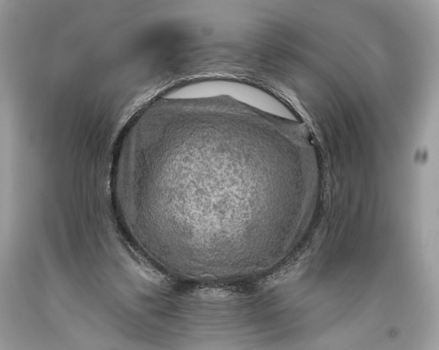 X0000093470299200710261049