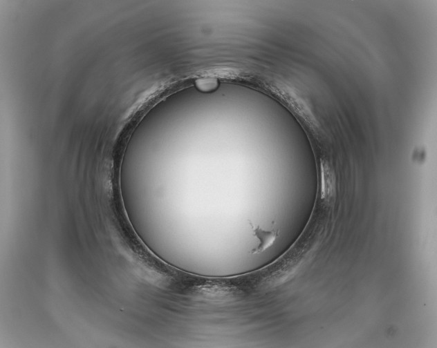 X0000093470300200710261049